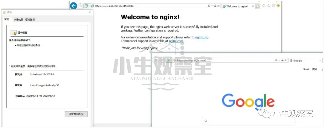 V2ray与网站共存最终效果